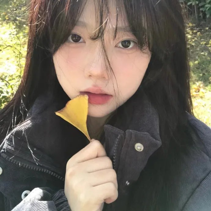 起锚
